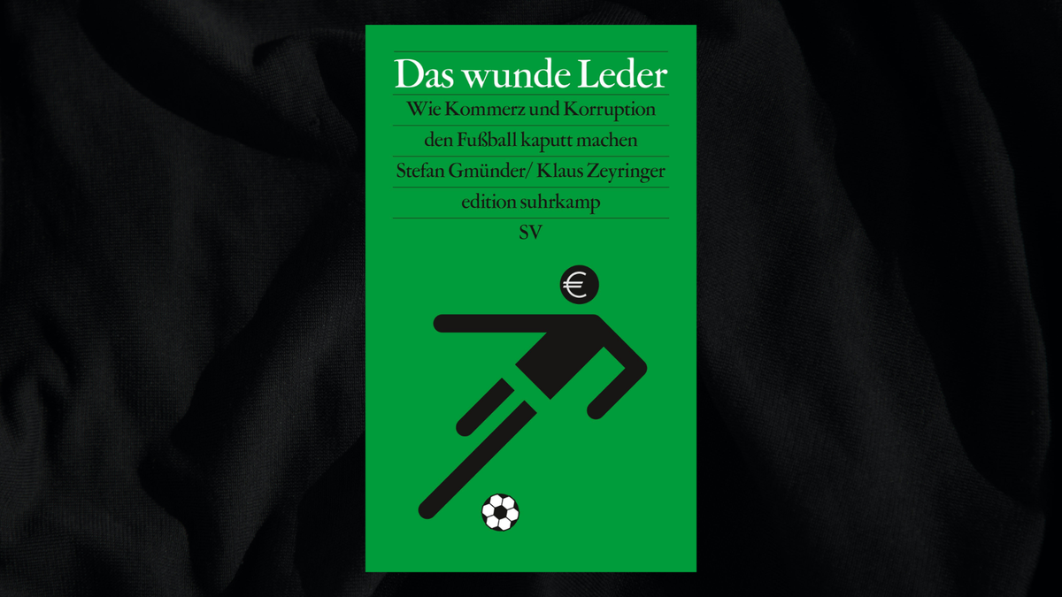 Das wunde Leder - Stefan Gmünder, Klaus Zeyringer